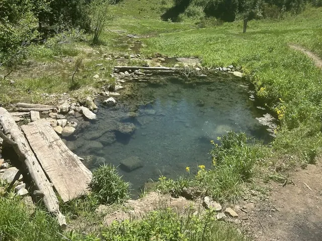 natural hot spring pool in a natural forest setting at bear creek hot spring idaho