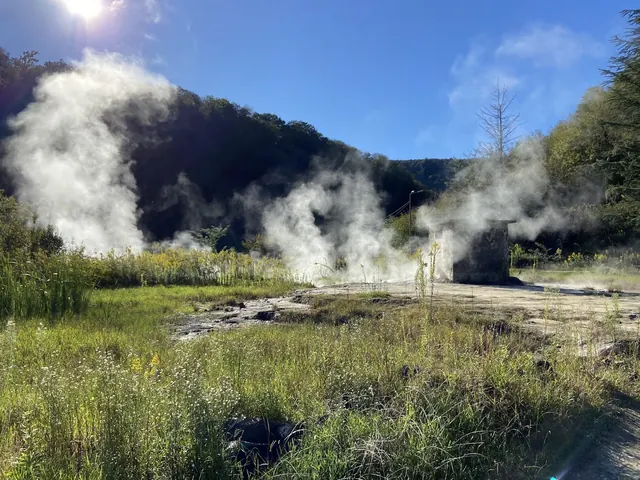 Nokalakevi Sulphur Waters