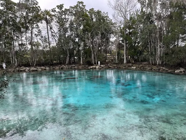 Three Sisters Springs