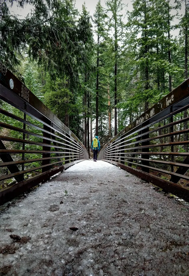 Bridge to Umpqua Hot Springs by Wes Nickerman (50679904727)