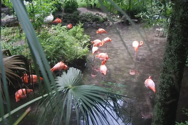 Homosassa Springs, Florida.