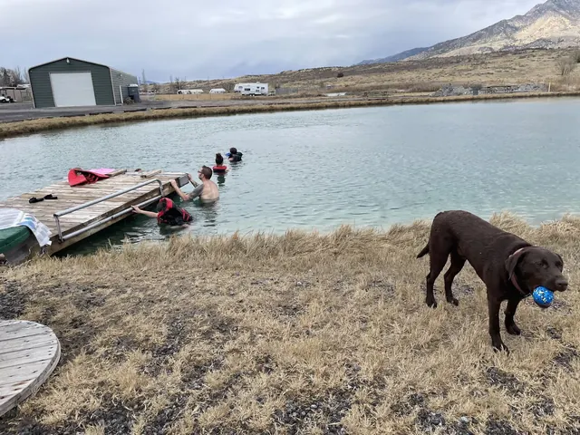 People soaking in the clear water by a wooden dock at Belmont Hot Springs while a dog with a blue ball stands on the grass nearby.