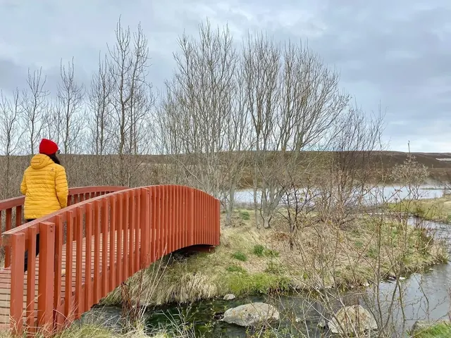 Geothermal Goldfish Pond, Iceland.