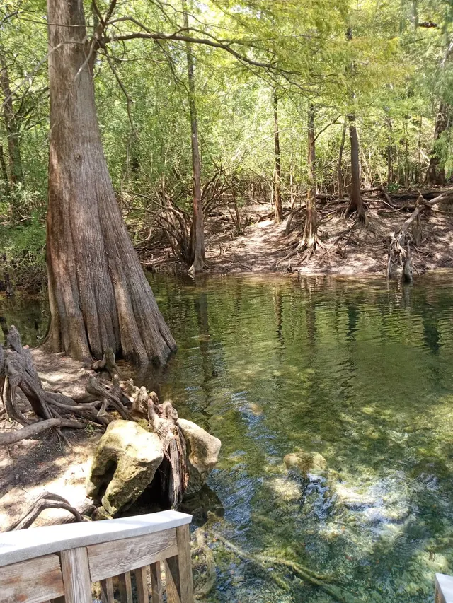Troy Spring