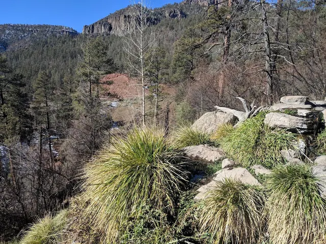 View of mineral-rich Spence Hot Spring pool surrounded by green grasses and rocky slope with forested mountains near Jemez Springs New Mexi.