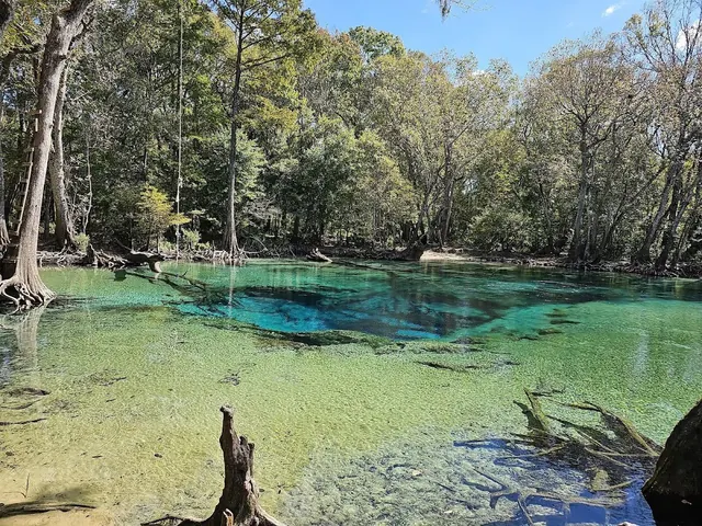 Cypress Springs, Florida.