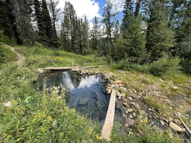 natural hot spring pool in a forest meadow in bear creek hot spring idaho