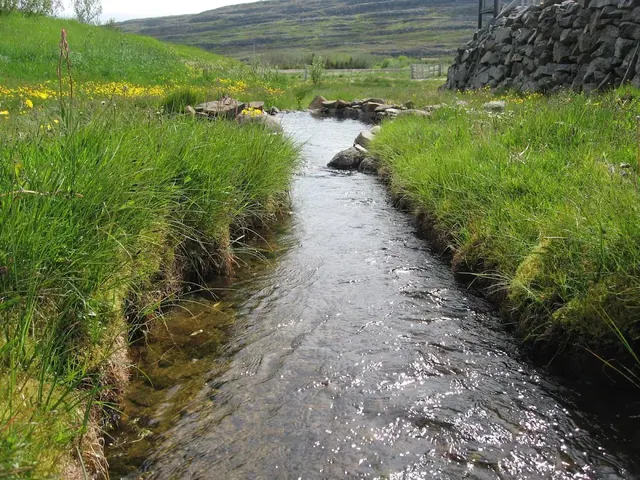 Gjörvidalslaug, Iceland.
