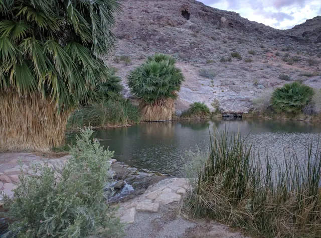 Rogers Spring reservoir surrounded by desert vegetation and palm trees with rocky hills in the background near Overton, Nevada
