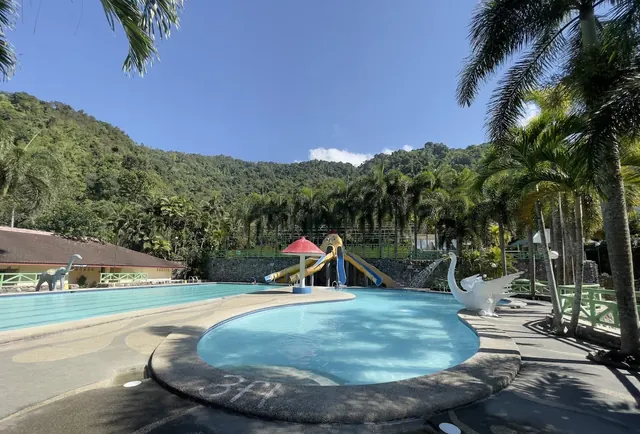 View of curved and rectangular resort pools with slides and swan-shaped decorations surrounded by palm trees and hills at Palm Grove Hot Sp.