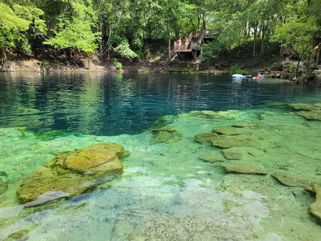 Royal Springs