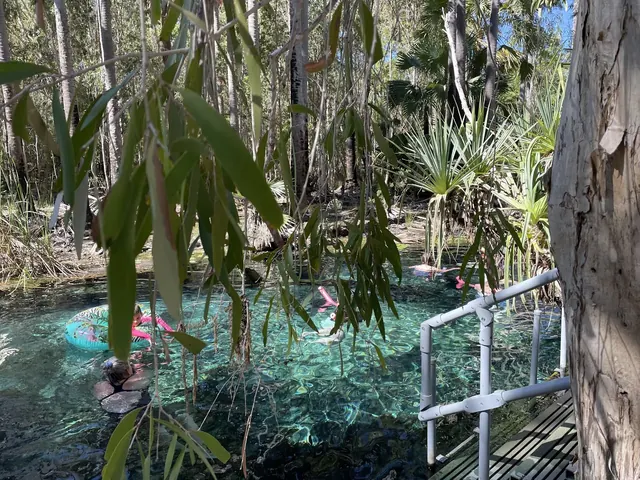 Bitter Springs