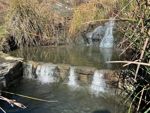 natural streaming hot spring pools surrounded by vegetation at little caliente hot springs california