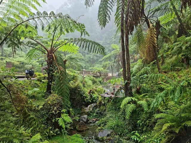 Steaming hot spring pools at Caldeira Velha framed by thick tropical ferns and trees under cloudy skies near Ribeira Grande Portugal.