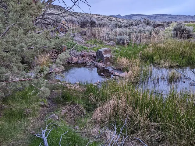 Barnes (Frenchglen) Warm Springs
