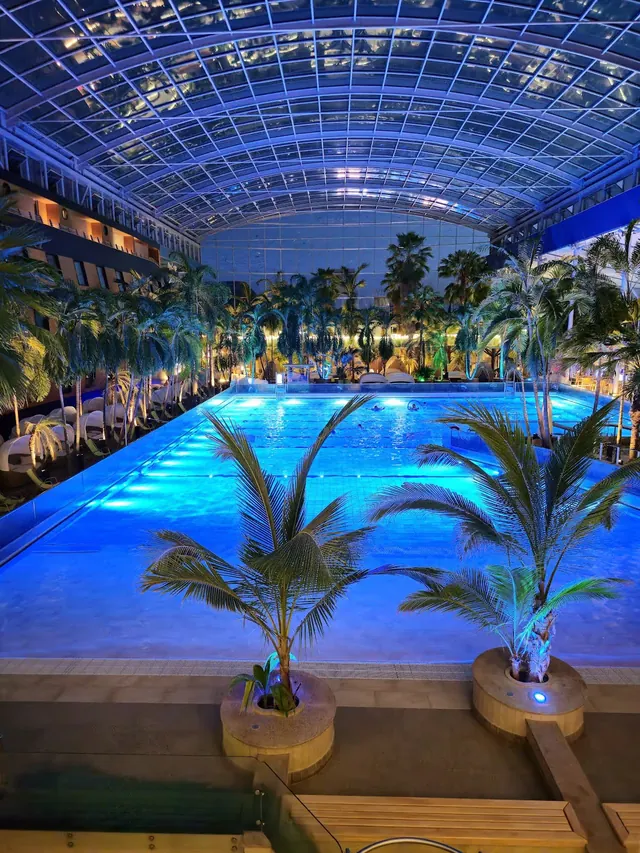 Night view of the illuminated indoor mineral pool at Therme Erding in Erding, Germany with palm trees around the glowing water area.