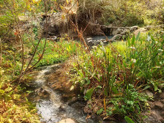 Gaviota State Park Hot Springs