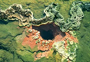 Hyder Hot Springs