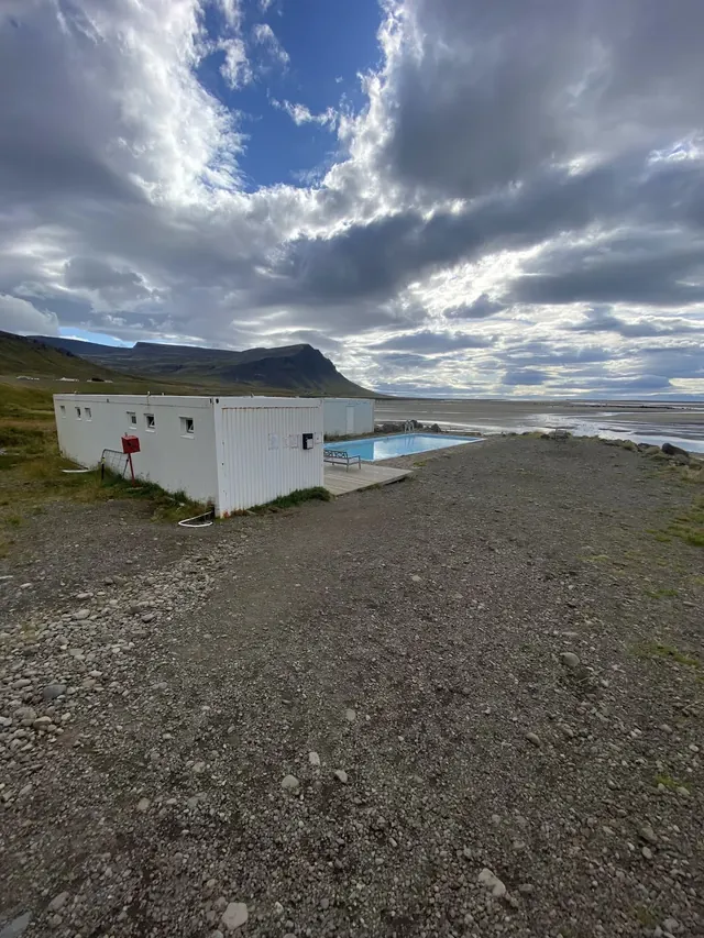 Birkimelur, Iceland.