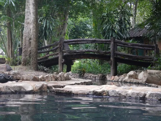 Dark water hot spring pool with large wooden bridge overhead amid green foliage at Pong Arng Hot Springs, Thailand in Nan.