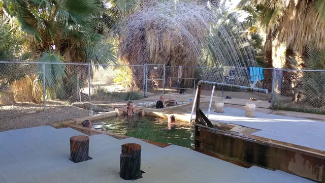 Several people soaking in a rectangular Holtville Hot Springs pool with palm trees and water spraying nearby in Holtville, California.