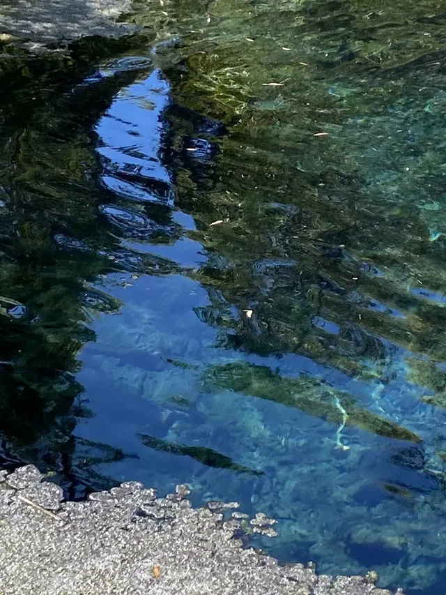 Close-up view of deep blue and green tinted water at Bitter Springs hot spring with rocky edges reflecting surrounding vegetation.