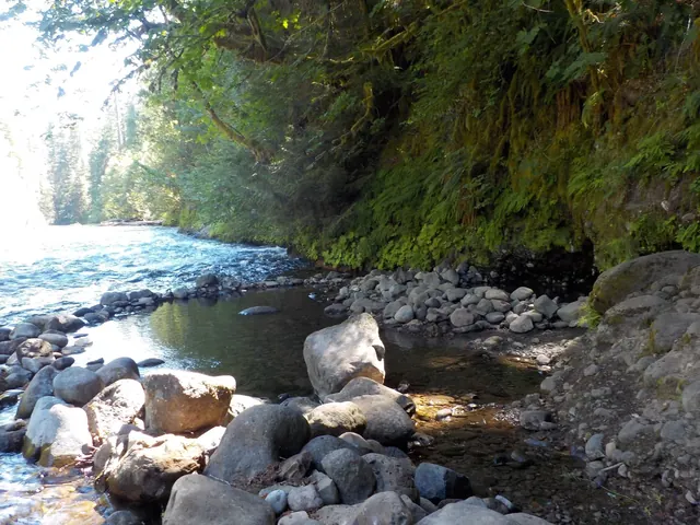 riverside hot spring in Deer Creek (Bigelow) Hot Springs, Oregon