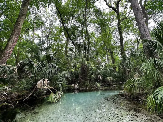 Rainbow Springs, Florida.