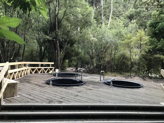 Three round black soaking pools on a mesh platform next to steps with green trees in the background at Mangatainoka Hot Springs.