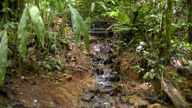 Termales de Jurubirá, Colombia.